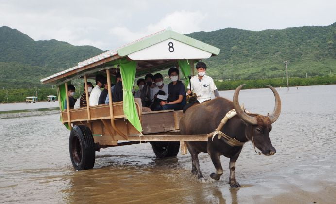 修学旅行（2年）