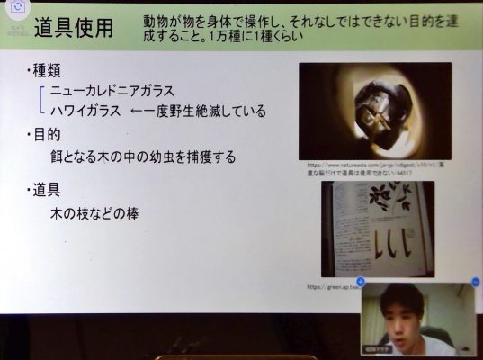 野生動物実習報告 最終 関西大倉中学校 高等学校