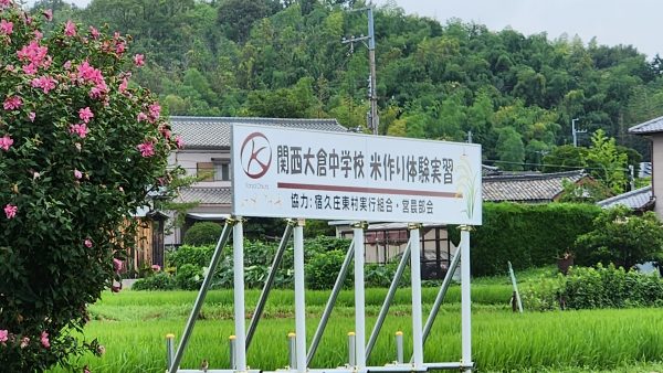 中学１年　田植え実習　経過