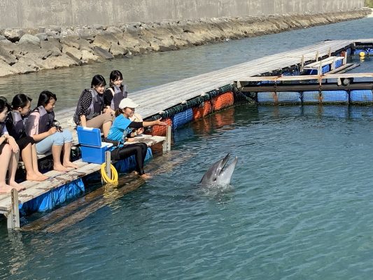 高校2年生修学旅行の様子③